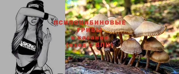 первитин Тихвин