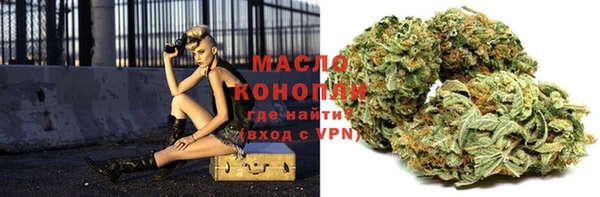 дживик Володарск