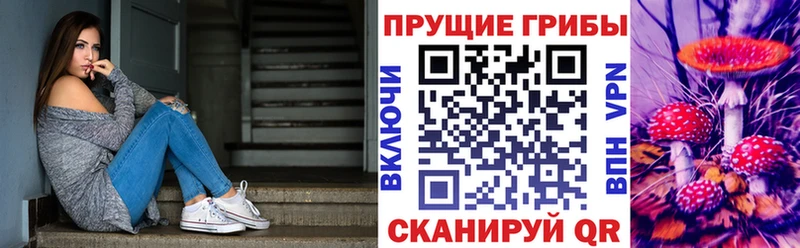 где купить наркоту  Ершов  Галлюциногенные грибы Magic Shrooms 