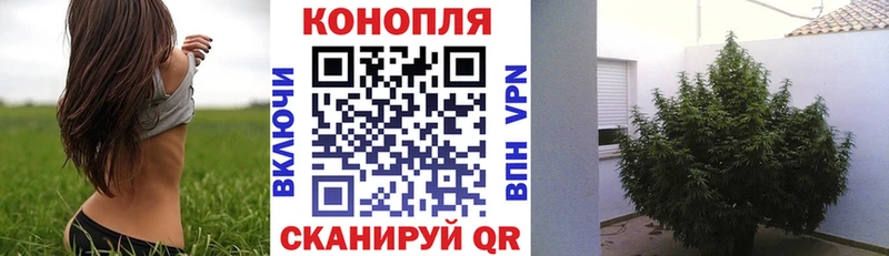 Каннабис конопля  закладка  Ершов 